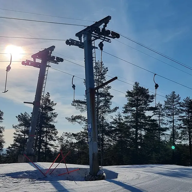 Skitrekk med kroker i sollys over snødekt bakke og furutrær.