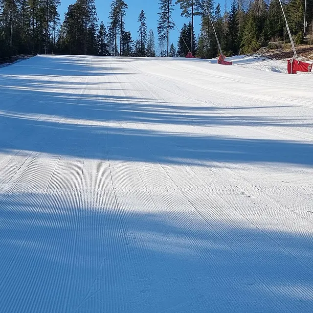 Nypreparert alpinløype med lange skygger fra trær i morgensol.