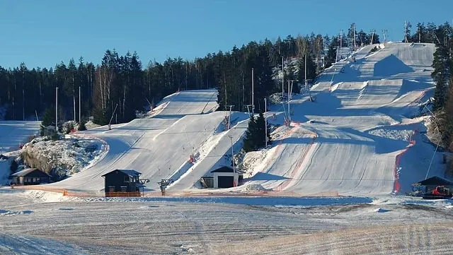 Oversiktsbilde av alpinanlegg med flere nedfarter og skog rundt.