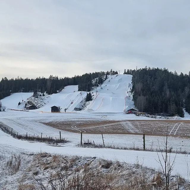 Alpinanlegg sett fra jordet med snødekte bakker omgitt av skog.